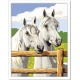 Numero d'Art Portrait Chevaux Gris