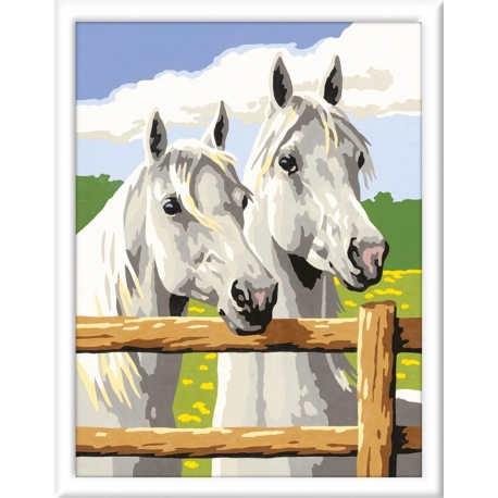 Numero d'Art Portrait Chevaux Gris