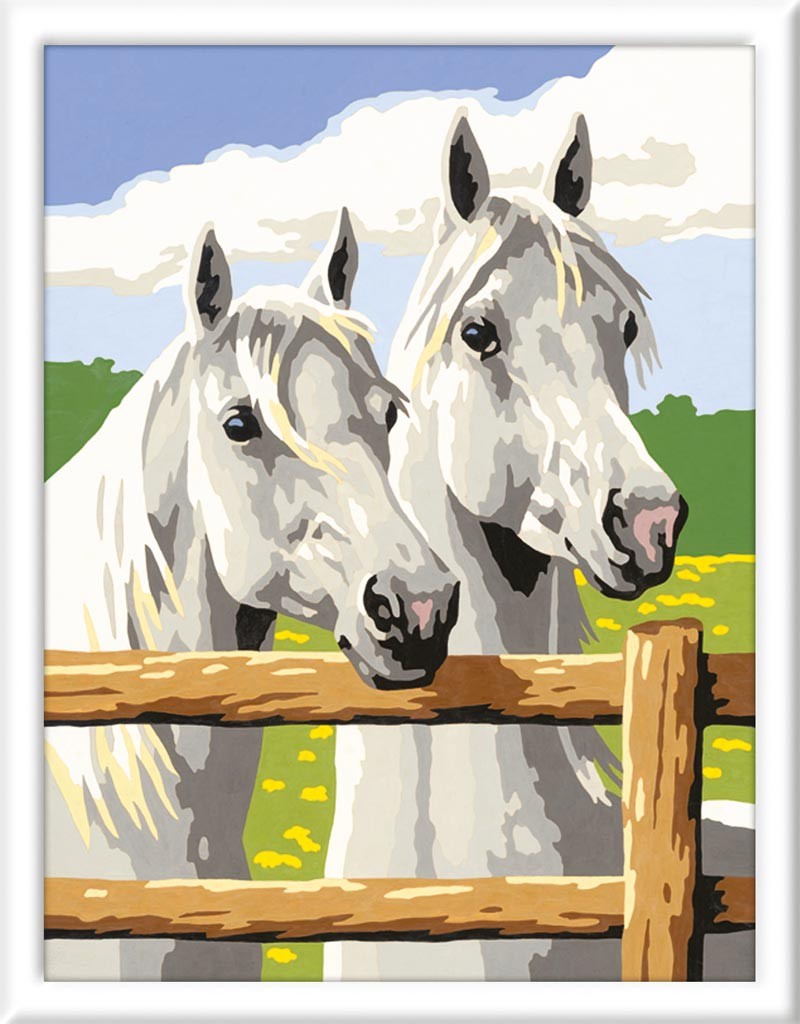 Numero d'Art Portrait Chevaux Gris