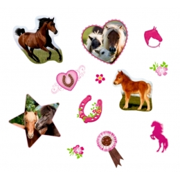 Stickers Autocollants Cheval