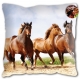 Coussin Motif Cheval