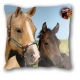 Coussin Motif Cheval