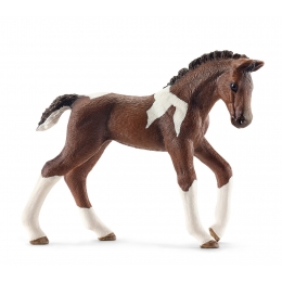 Figurine Poulain Trakehnen Schleich