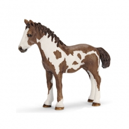 Figurine Yearling Pinto Schleich