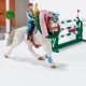 Grand Concours Equestre Scheich