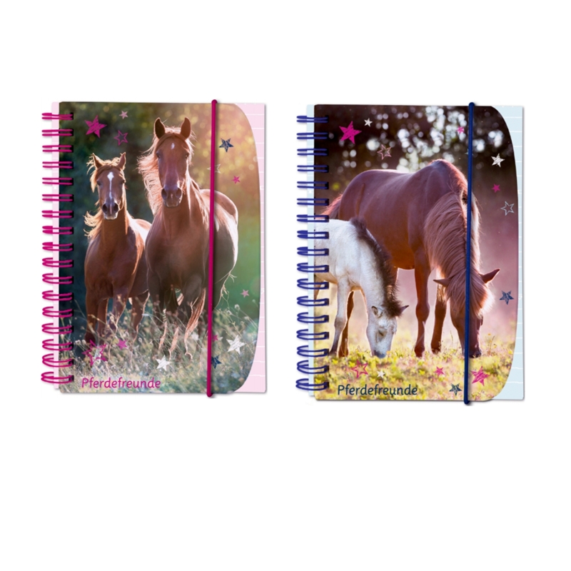 Carnet Amis Des Chevaux