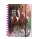 Carnet Amis Des Chevaux