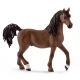 Figurine Etalon Arabe Schleich