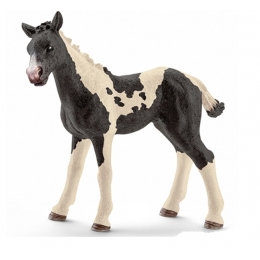 Figurine Poulain Pinto Schleich