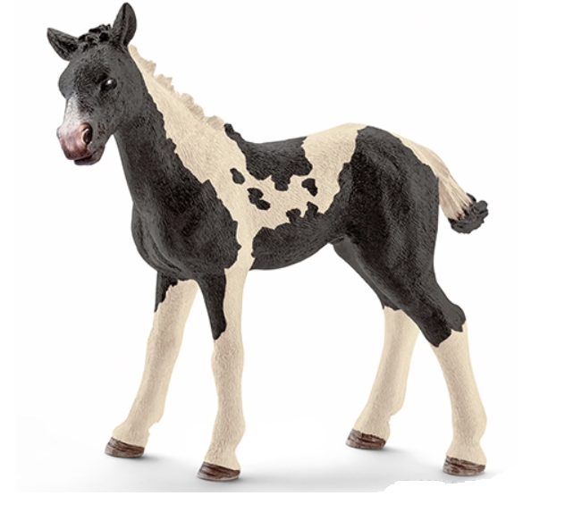 Figurine Poulain Pinto Schleich