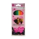 Crayons De couleurs Sweet Horse