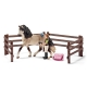 Schleich: Kit De Soin Chevaux Andalou