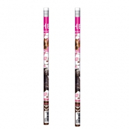 Lot De 2 Crayons à Papier Cheval HB Avec Gomme