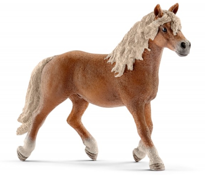 Figurine Etalon Haflinger Schleich