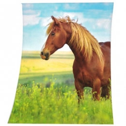 Couverture Polaire Cheval Au Pré