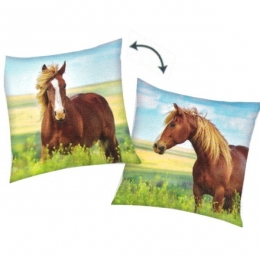 Coussin Cheval Au Pré