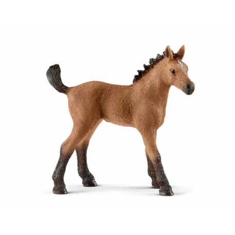 Figurine Poulain Quarter Horse Schleich