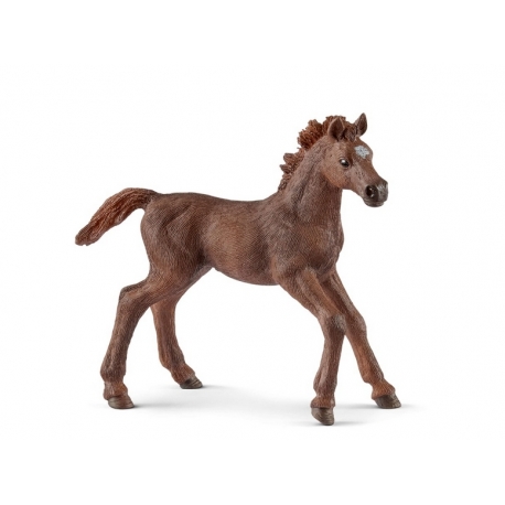 Figurine Poulain Pur Sang Anglais Schleich