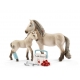 Kit De Secours Hannah Horse Club Schleich