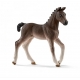 Horse Club Vétérinaire Mobile Avec Poulain Hanovrien