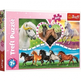 Puzzle Amour De Chevaux 200 Pièces