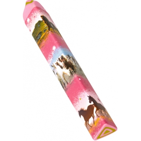 Crayon Gomme Cheval