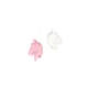 Set De 2 Gommes Tête De Cheval