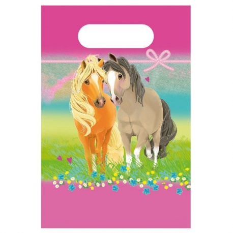 Sachets Cadeaux Anniversaire Pretty Poney