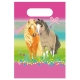 Sachets Cadeaux Anniversaire Pretty Poney