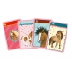 Jeu De Cartes Poney 4 en 1