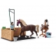 Box De Lavage Chevaux Schleich Emily et Luna