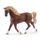 Box De Lavage Chevaux Schleich Emily et Luna