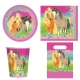 Pack Anniversaire Pretty Poney