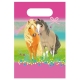 Pack Anniversaire Pretty Poney