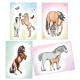Livre à Décalquer Cheval Mis Mélody