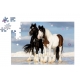 Mini Puzzle Chevaux Dans La Mer