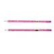 Set De 2 Crayons HB Cheval Scintillant