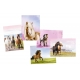 Cartes Postales Cheval à Décorer