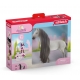 Coffret Schleich Cheval à Coiffer Sofia Et Dusty