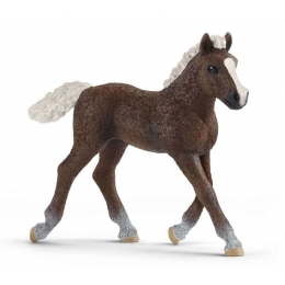 Schleich - 13706 - Figurine - Cheval d'entraînement : : Jeux et  Jouets