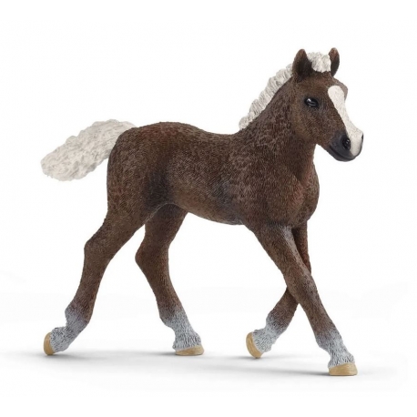 Figurine Poulain Forêt Noire Schleich