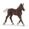 Figurine Poulain Forêt Noire Schleich