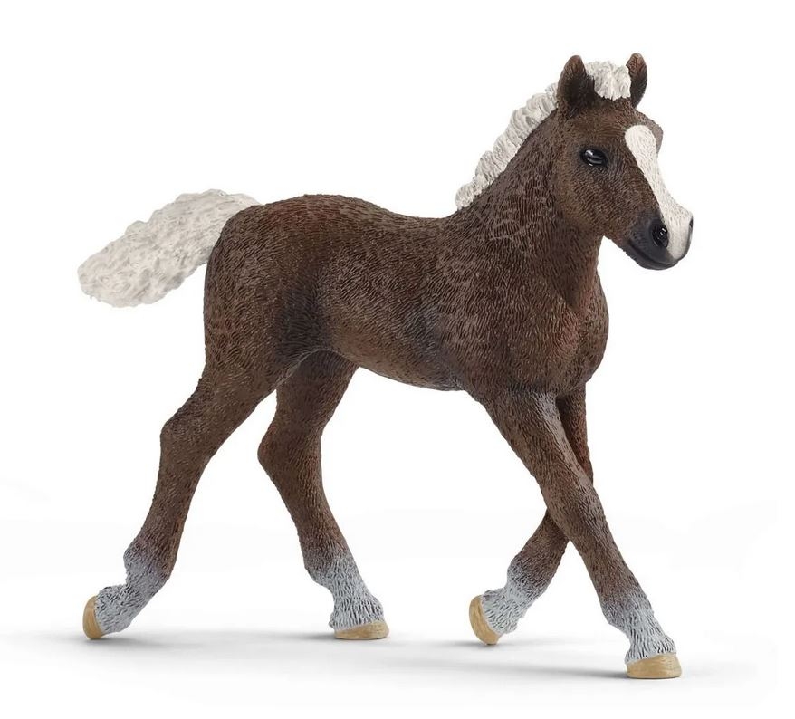 Figurine Poulain Forêt Noire Schleich