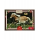 Puzzle Jument et Poulain Haflinger 100 pièces