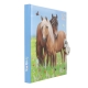 Journal Intime à Personnaliser Duo De Chevaux