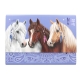 Trieur Papier à Lettres Trio De Chevaux