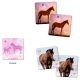 Jeu De Mémoire Thème Chevaux