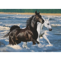 Puzzle Chevaux sur la Plage 1500 pièces