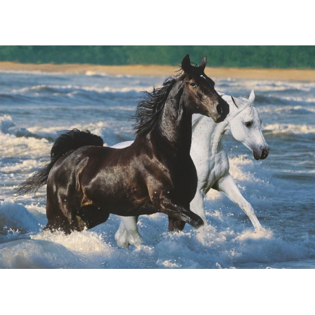 Puzzle Chevaux sur la Plage 1500 pièces